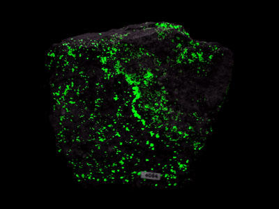 ...und im UV-Licht. In der unteren Aufnahme wird die Fluoreszenz von Uranglimmer deutlich durch das gelbliche Licht, das die Kristalle emittieren. © Sammlung Institut f. Geologische Wissenschaften, FU Berlin