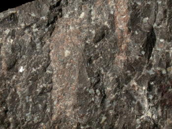 Andesit. © Sammlung Institut f. Geologische Wissenschaften, FU Berlin