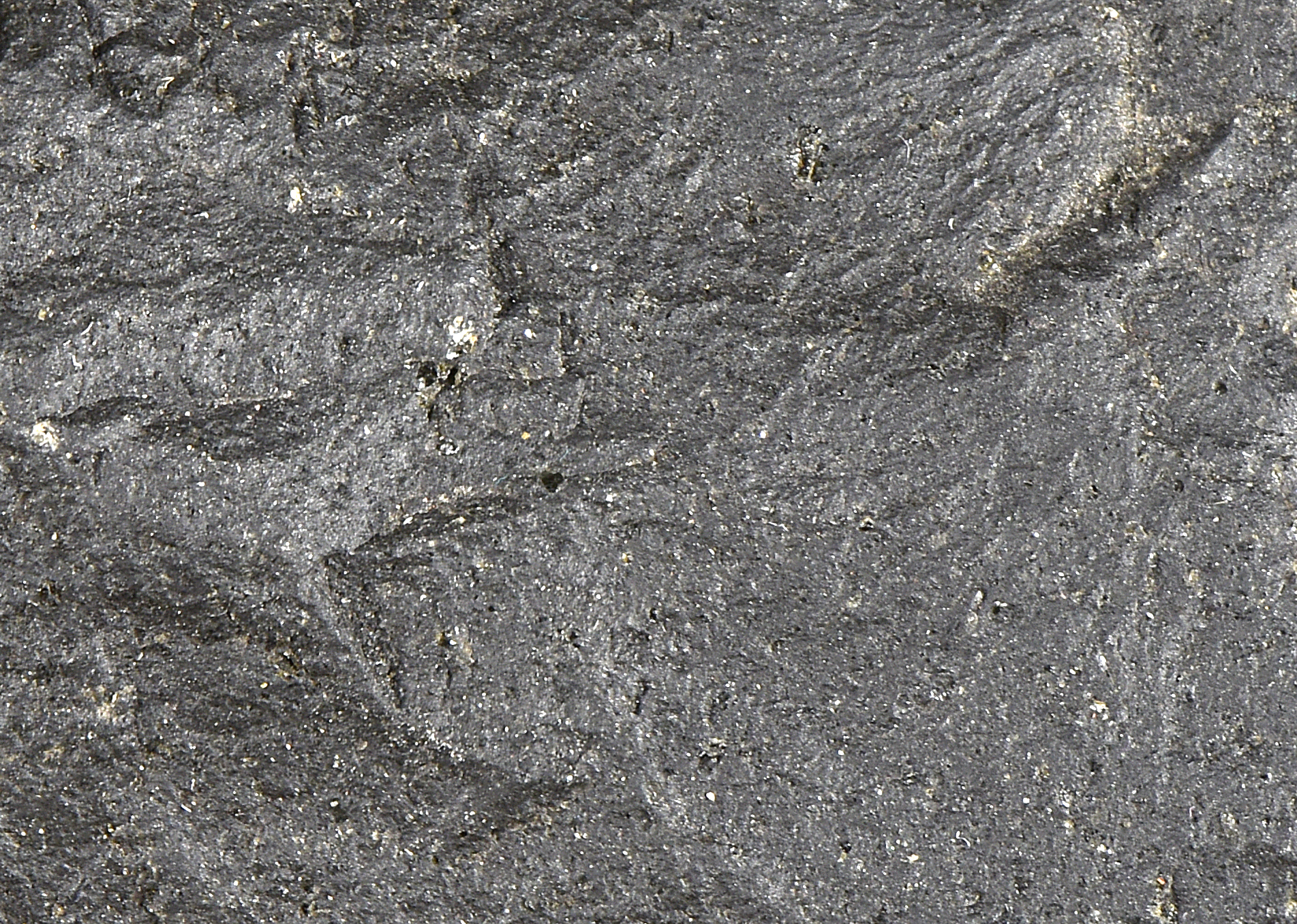 ma_basalt_detail