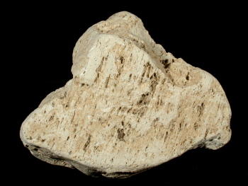 Bimsstein. © Sammlung Institut f. Geologische Wissenschaften, FU Berlin