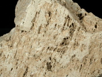 Bimsstein. © Sammlung Institut f. Geologische Wissenschaften, FU Berlin