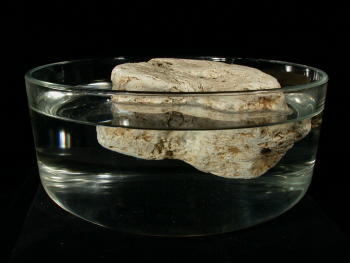 Bimsstein im Wasserbad. © Sammlung Institut f. Geologische Wissenschaften, FU Berlin