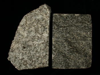 Granit (links) und Gabbro (rechts). © Sammlung Institut f. Geologische Wissenschaften, FU Berlin