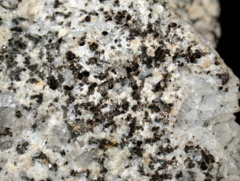 Granodiorit. © Sammlung Institut f. Geologische Wissenschaften, FU Berlin