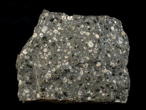 Leucitit. © Sammlung Institut f. Geologische Wissenschaften, FU Berlin