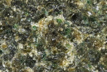 Lherzolith. © Sammlung Institut f. Geologische Wissenschaften, FU Berlin
