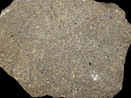 Phonolith. © Sammlung Institut f. Geologische Wissenschaften, FU Berlin