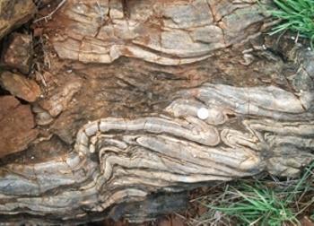 Abb. 2: offene (links) bis enge (rechts), überkippte Falte in Banded-Magnetite-Quarzite (BMQ), Kolar Schist Belt, Südindien. © C. Dobmeier
