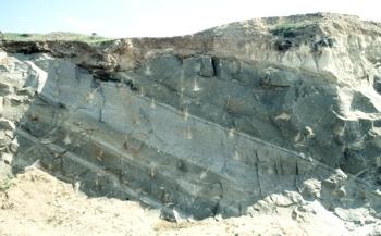 Primäre Foliation: Magmatischer Lagenbau, nachgezeichnet durch Lagen aus Anorthosit (weißgrau) und Leukonorit (grünlich grau). Anorthositkomplex von Bolangir, Indien. © C. Dobmeier