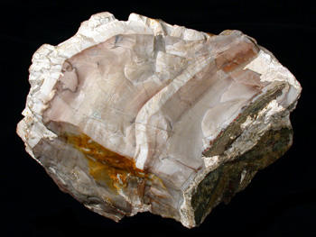 Chalcedon