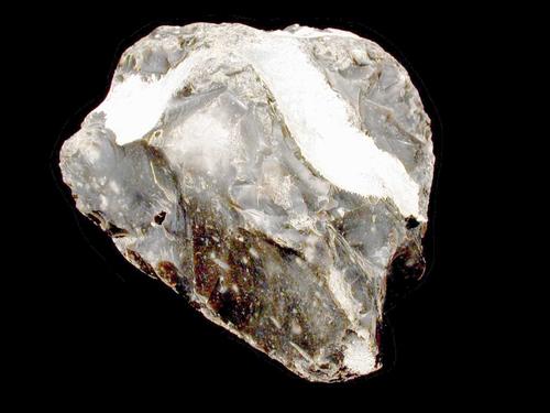 Chertknolle, Breite des Handstücks 10 cm. © Sammlung Institut für Geologische Wissenschaften, FU Berlin