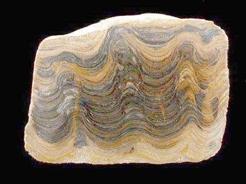 Stromatolith. Länge des Objektes 6 cm. © D. Mertmann