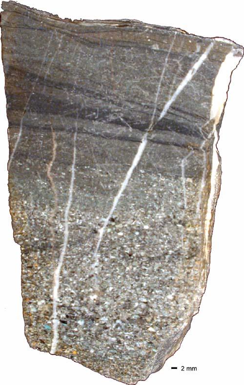 Gradierung. © PETROgraph, Sammlung Institut für Geologische Wissenschaften FU Berlin