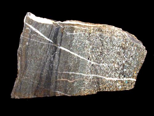Breite des Handstücks 10 cm. © Sammlung Institut für Geologische Wissenschaften, FU Berlin