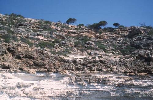 Kalkfolge einer tertiären Karbonatplattform (Mallorca, Spanien). © D. Mertmann