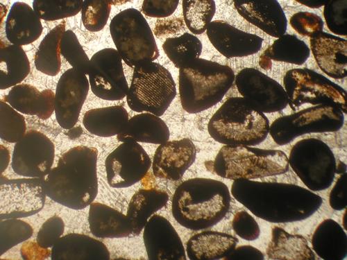 Sparitischer Zement als durchscheinende Kristalle zwischen den dunklen Partikeln. Bildbreite 2,5 cm. © PETROgraph
