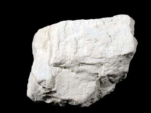 Weißer Diatomit (Pleistozän, Norddeutschland). PETROgraph, Sammlung Institut für Geologische Wissenschaften, FU Berlin.