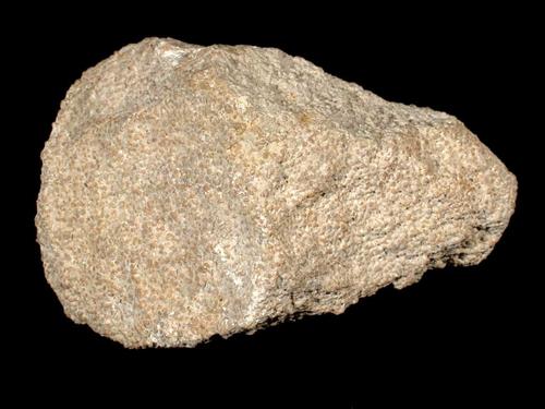 Oolith, Breite des Handstücks 8 cm. © Sammlung Institut für Geologische Wissenschaften, FU Berlin