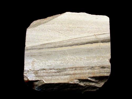 Sandstein, Bildbreite 10 cm. © Sammlung Institut für Geologische Wissenschaften, FU Berlin