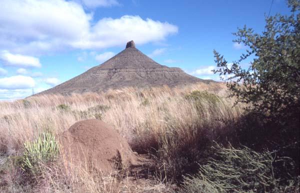 se_terrigene_sandsteine_molteno1