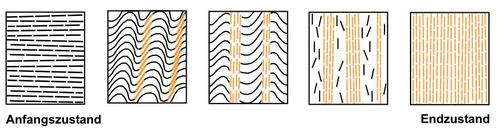Abb. 2: Schematische Entwicklung der Krenulation einer bereits bestehenden Schieferung © PETROgraph